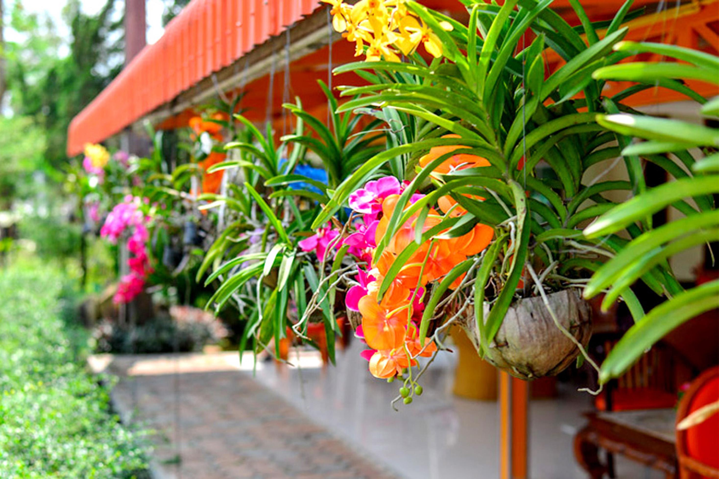 Koh Chang Resort Luaran gambar